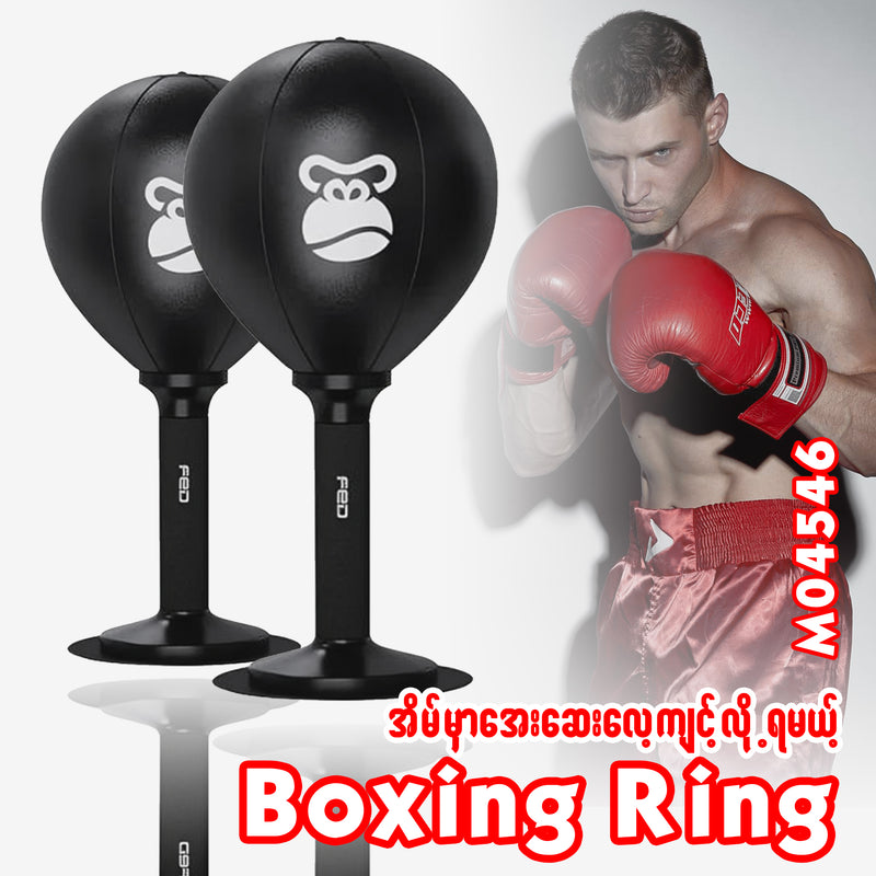 MS04546 Boxing RIng